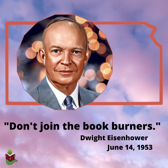 Eisenhower Quote